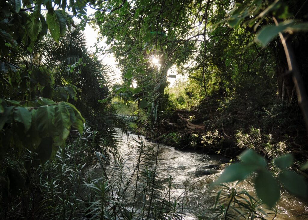 The Mutonga River flows through Tharaka and is a Sacred Natural Site for the community. Photo: Andrew Pilsbury
