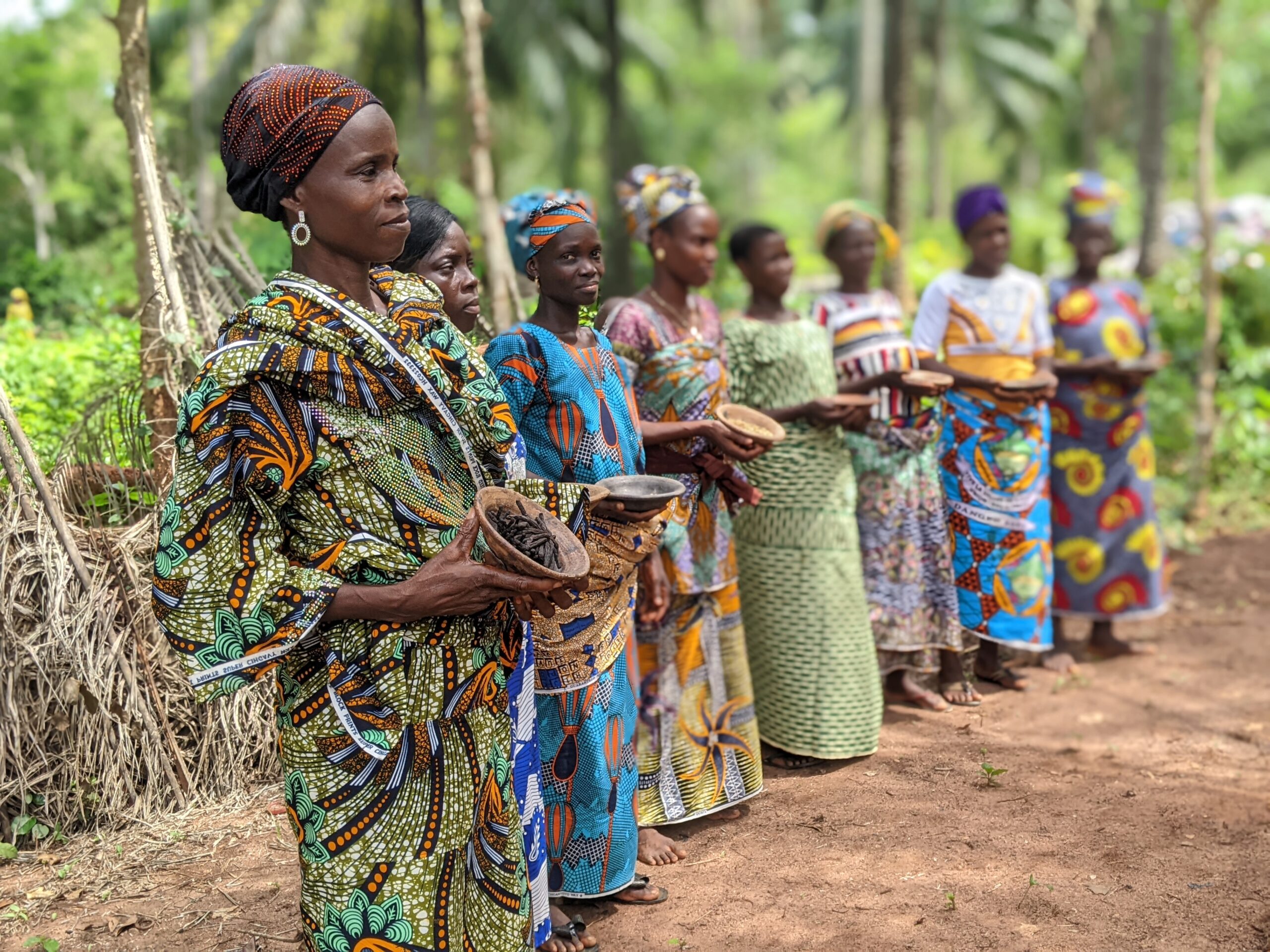 Women restoring their roles as custodians of seed in Benin