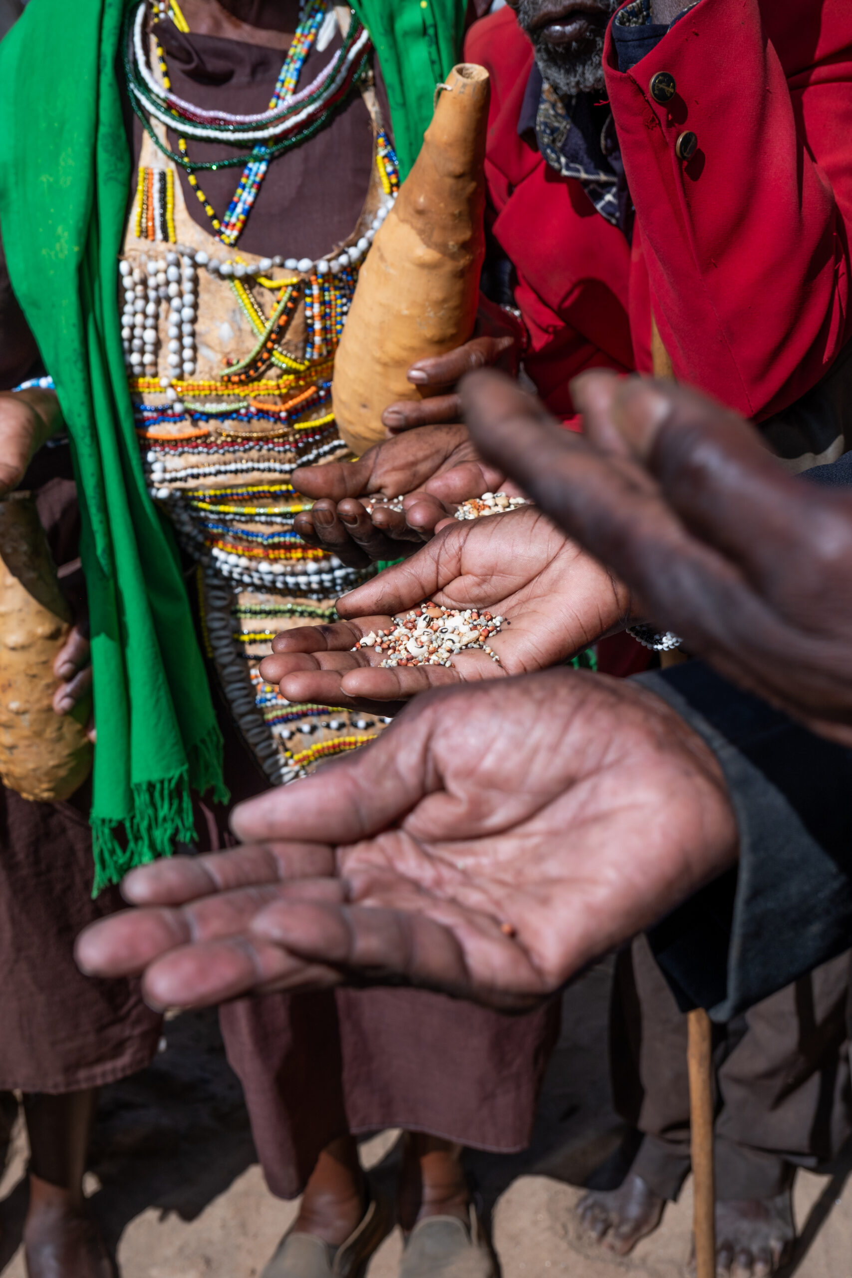 Reviving biocultural diversity in Tharaka, Kenya