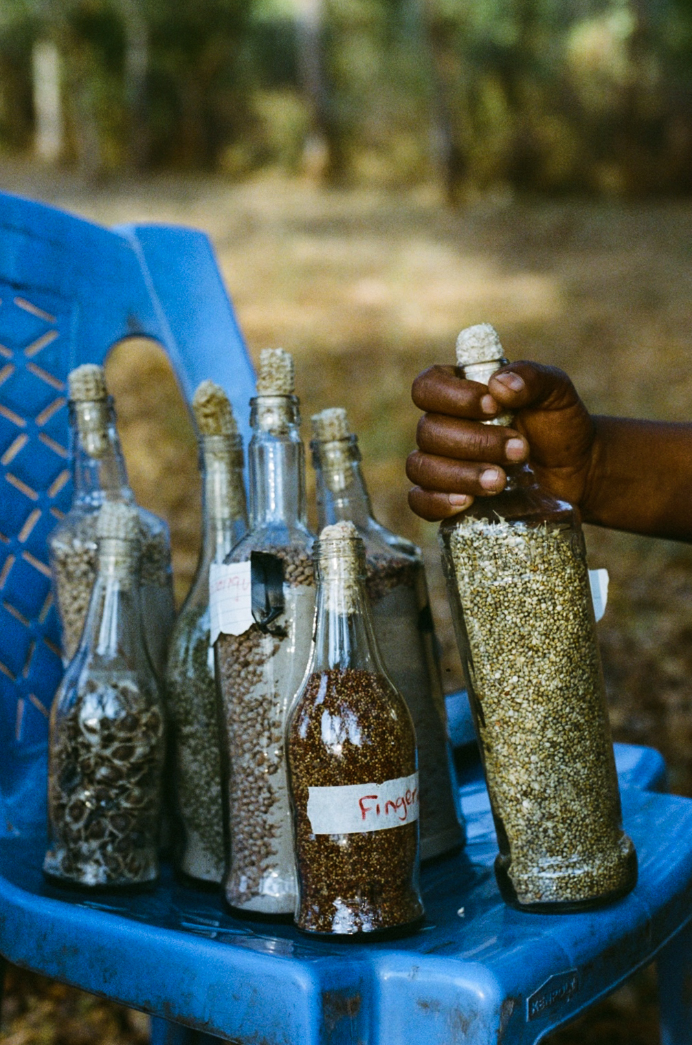 Reviving biocultural diversity in Tharaka, Kenya