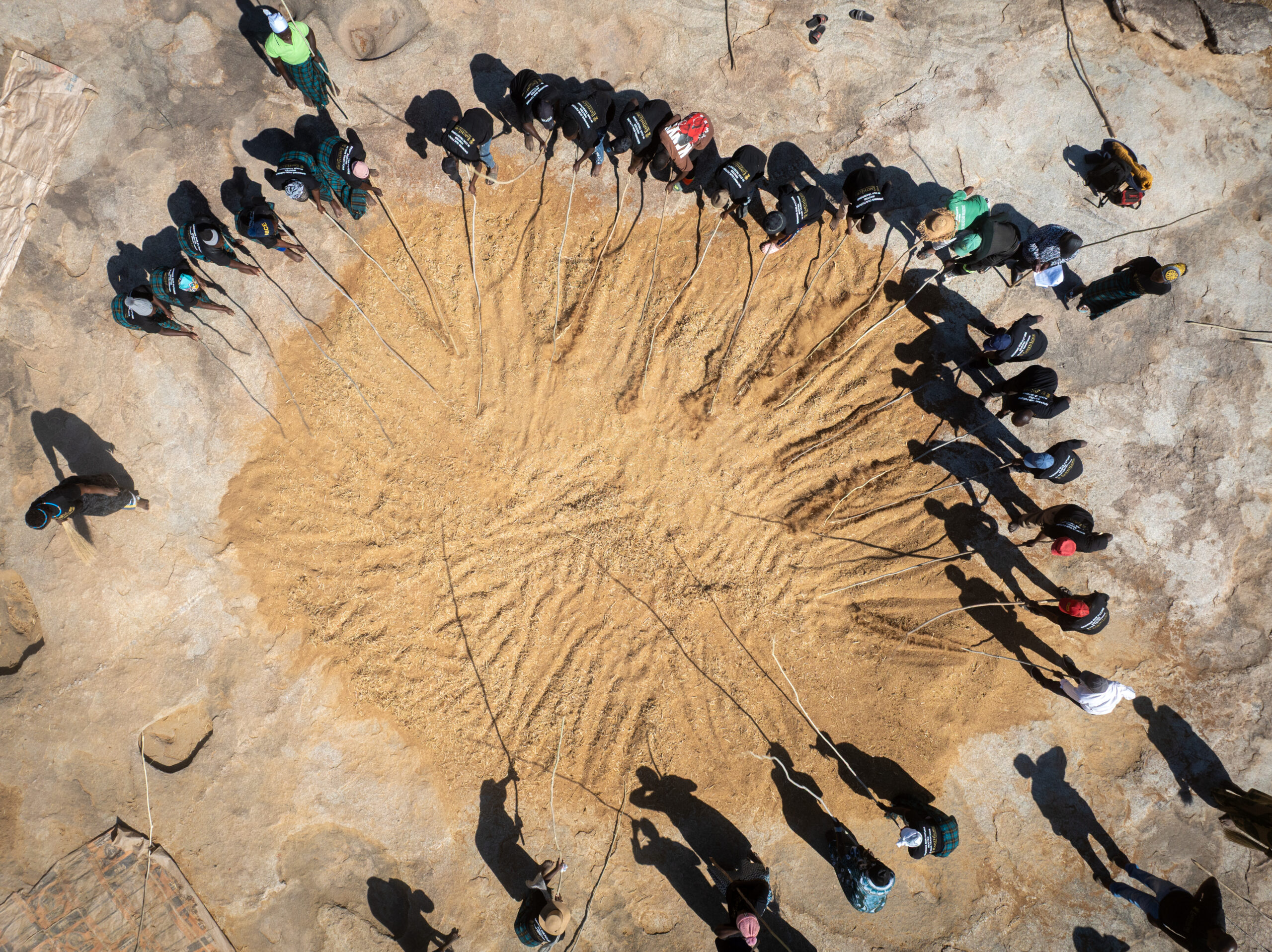 Threshing millet in Bikita, Zimbabwe