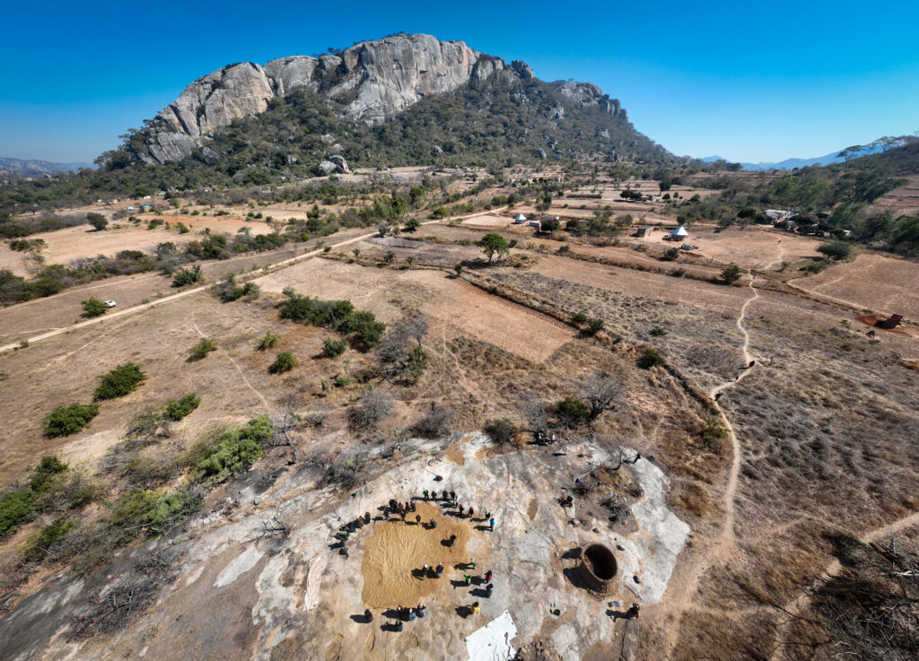 Threshing millet in Bikita, Zimbabwe