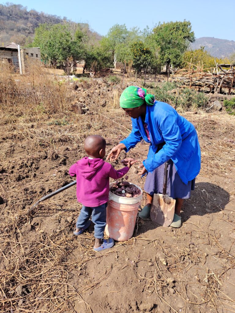 Like many children growing up in rural farming communities in South Africa, Bongiwe and Patric developed their passion for farming as young children helping parents and grandmothers in their home gardens and fields 