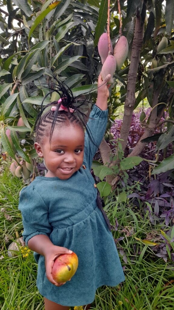 Patric involves his own children in farming tasks, like propagating cuttings and harvesting crops. This is a good way to encourage children to become passionate farmers when they grow up