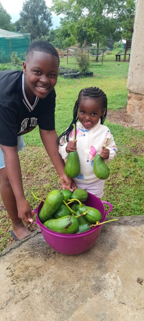 Voices of Youth in Agroecology: Growing Hope, Food, and the Future in South Africa